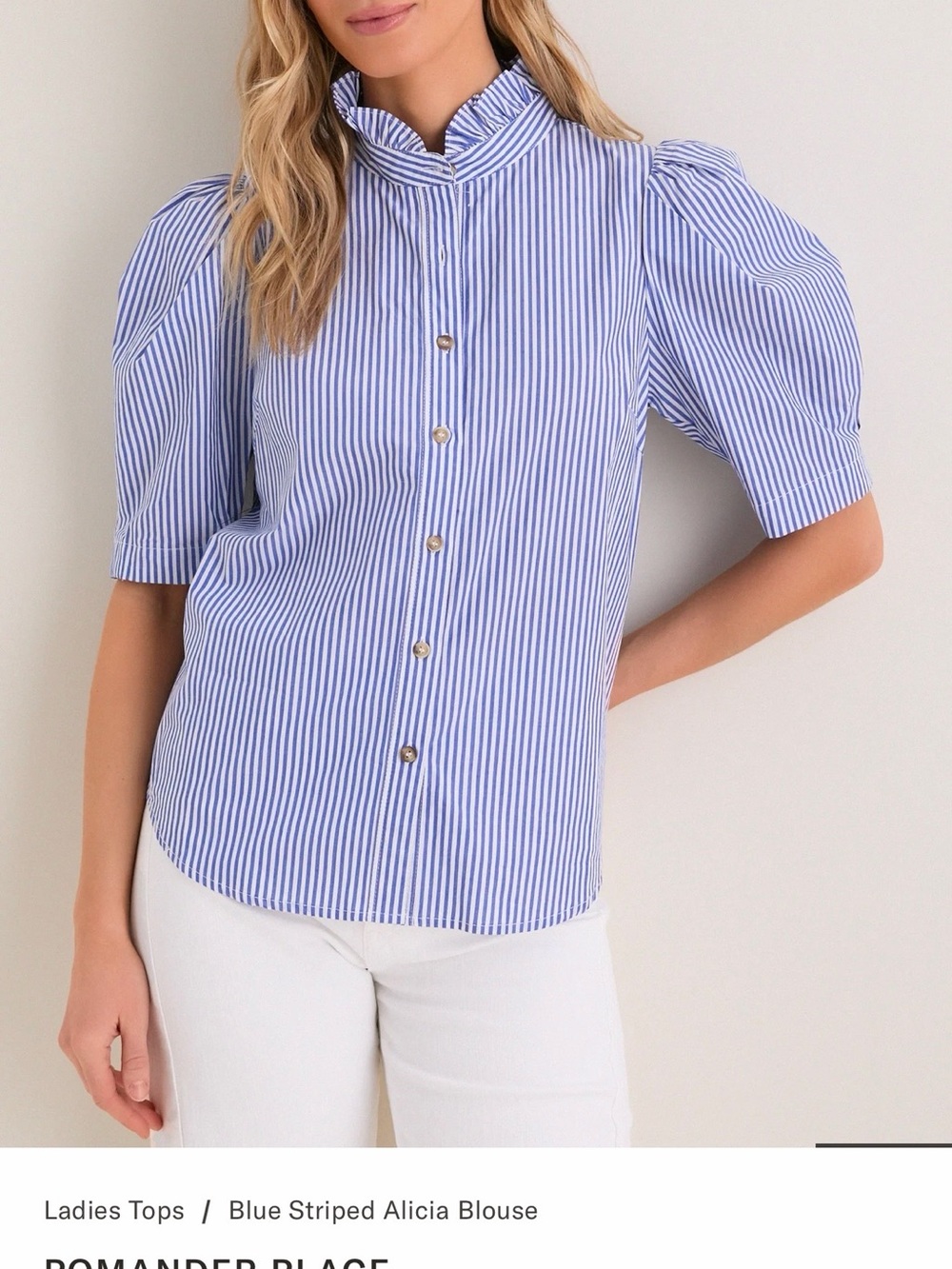 Pomander Place Blue and White Striped Puff Sleeve Alicia Blouse